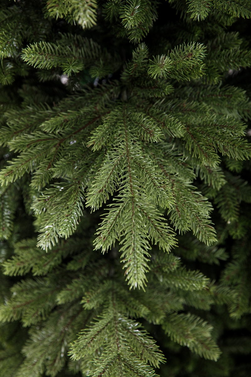 Искусственная елка Crystal Trees Ель Эвита 180 см. - фото 3