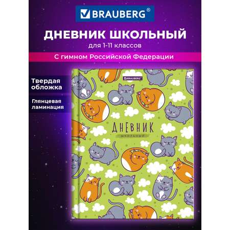 Дневник школьный Brauberg для девочек мальчика 1-11 класс