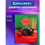 Изображение товара Дневник школьный Brauberg для девочек мальчика 1-11 класс твердый 40 листов