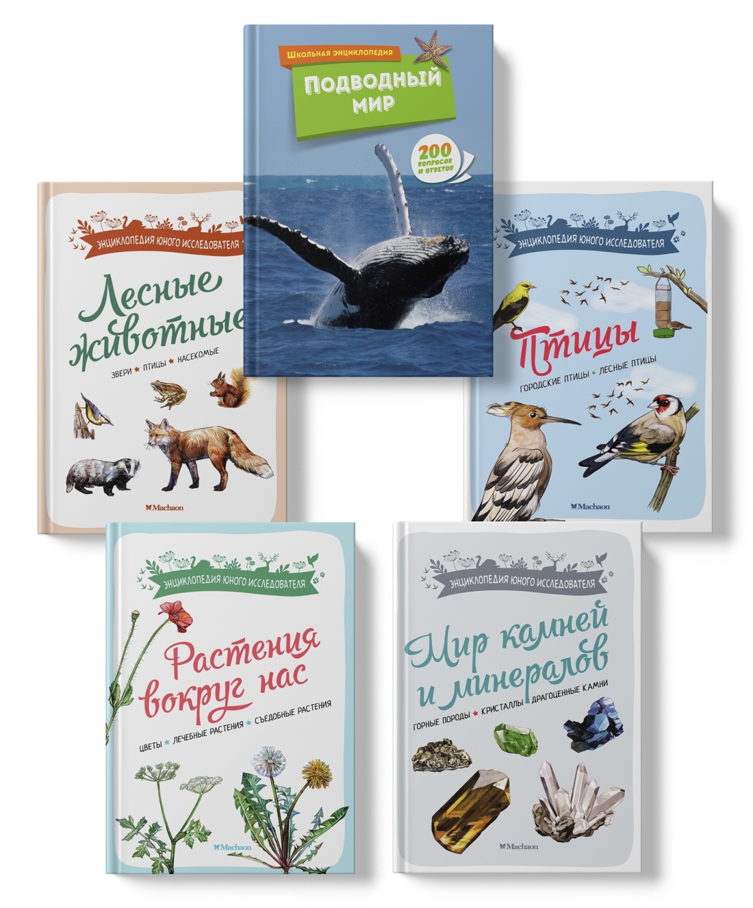 Книга Махаон Весь мир природы для школьника. Большой комплект из 5 книг - фото 1