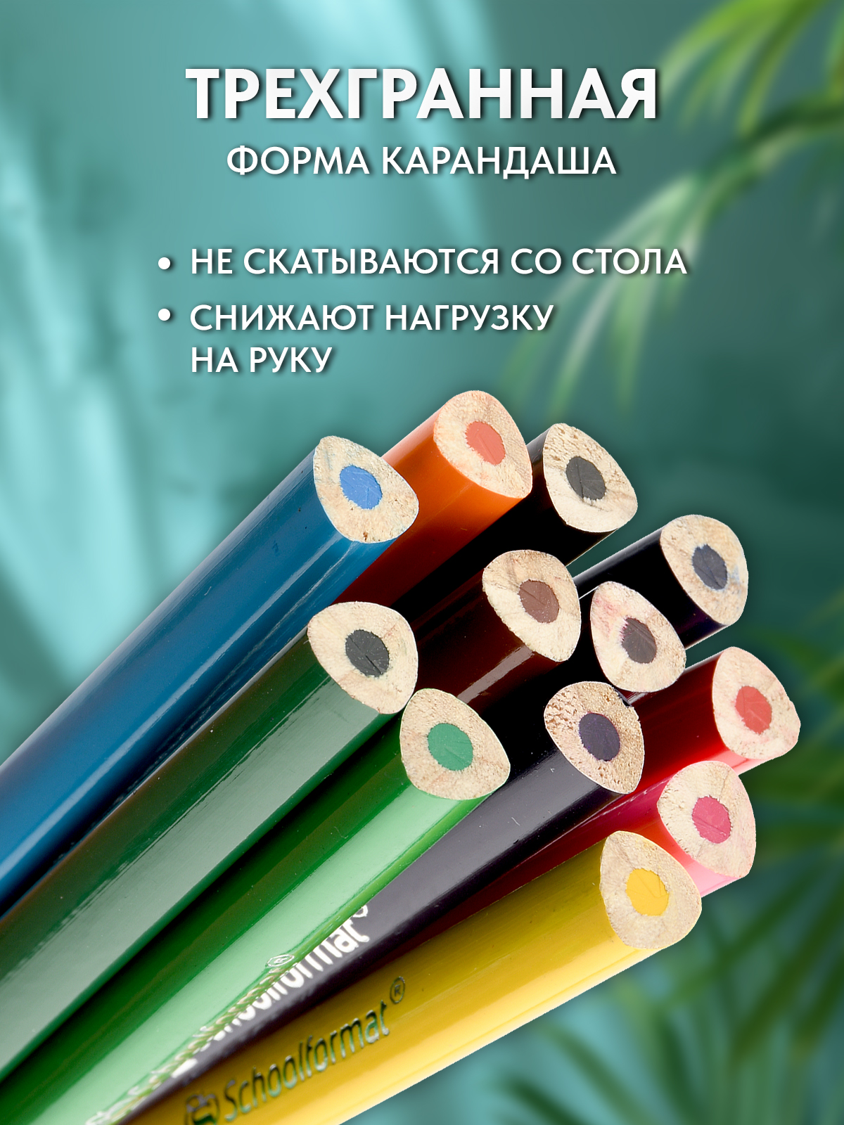 Карандаши цветные SCHOOLFORMAT 12 шт. - фото 4