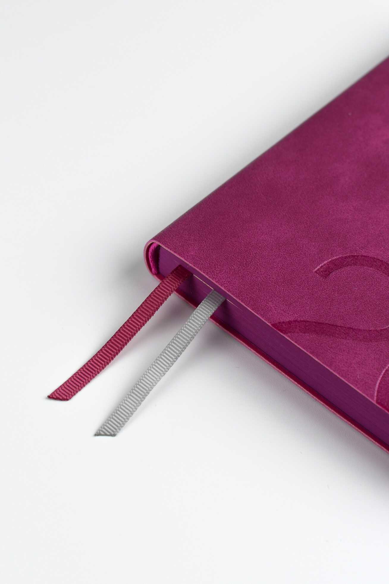 Ежедневник Феникс + ESCALADA 176 лист. - фото 10