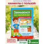 Книга Проф-Пресс Занимаемся на каникулах Переходим в 4 класс