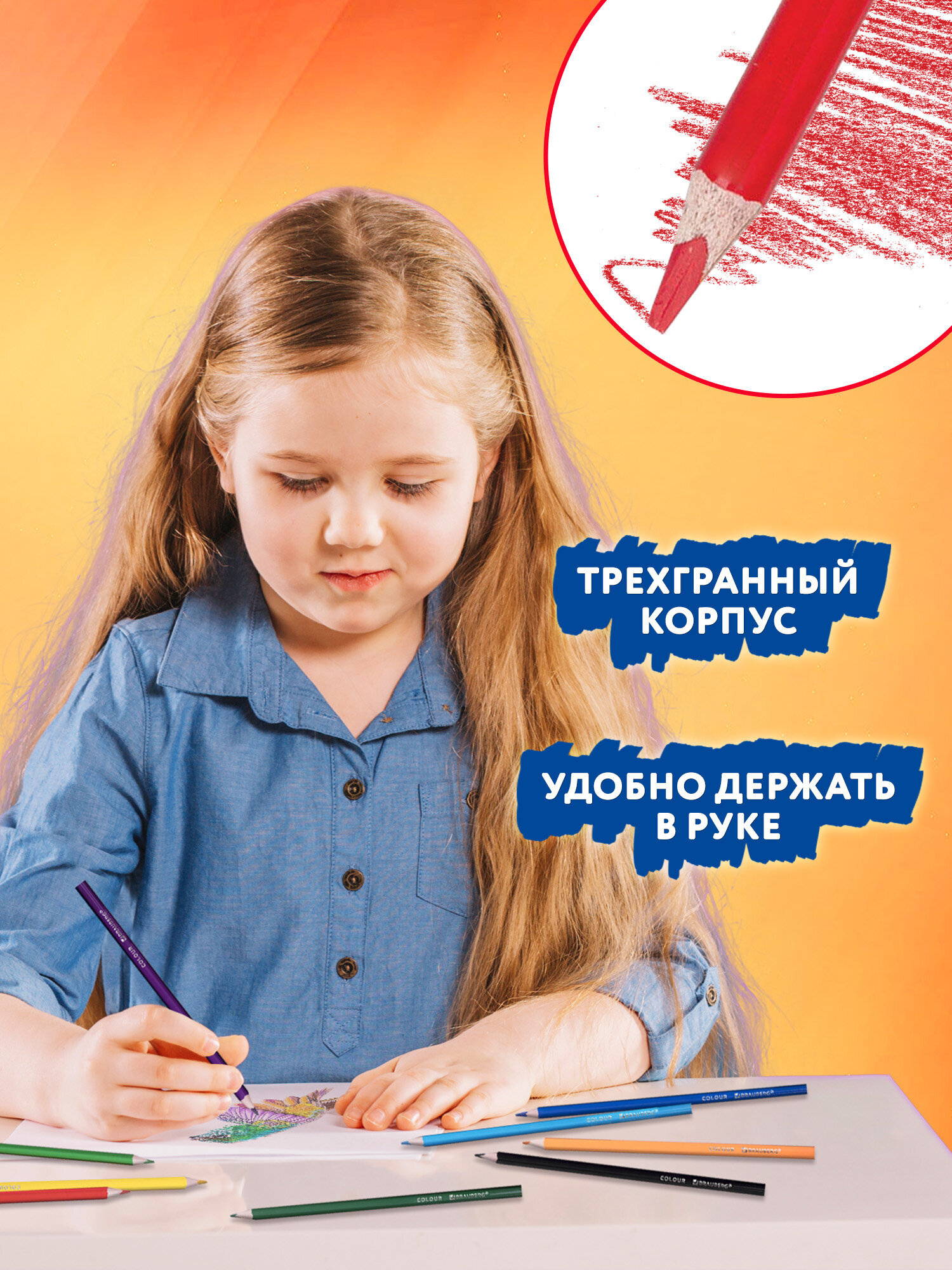 Карандаши цветные Brauberg 26 шт. - фото 3