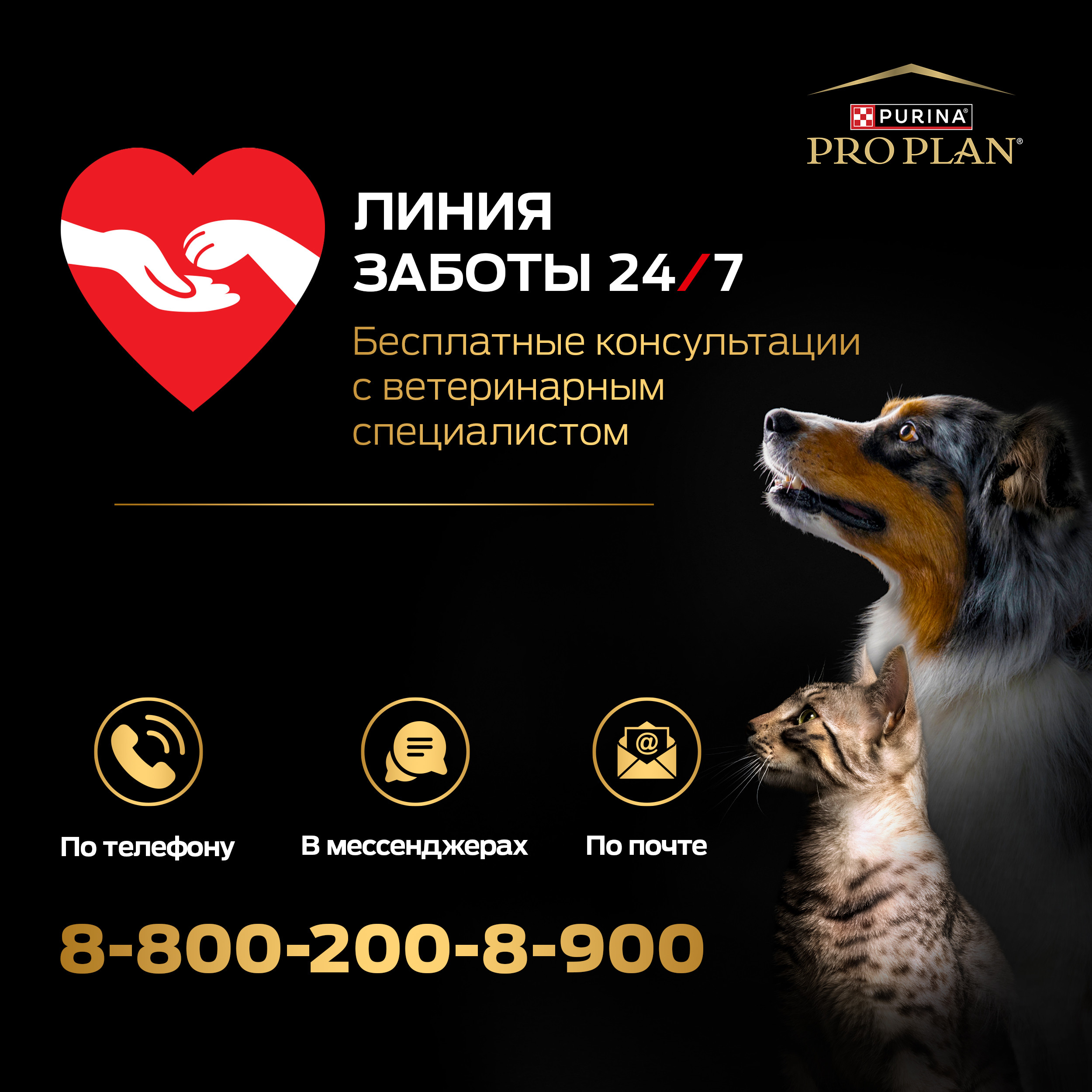 Корм для щенков PRO PLAN крупных пород с мощным телосложением с комплексом Optistart курица с рисом 12кг - фото 4