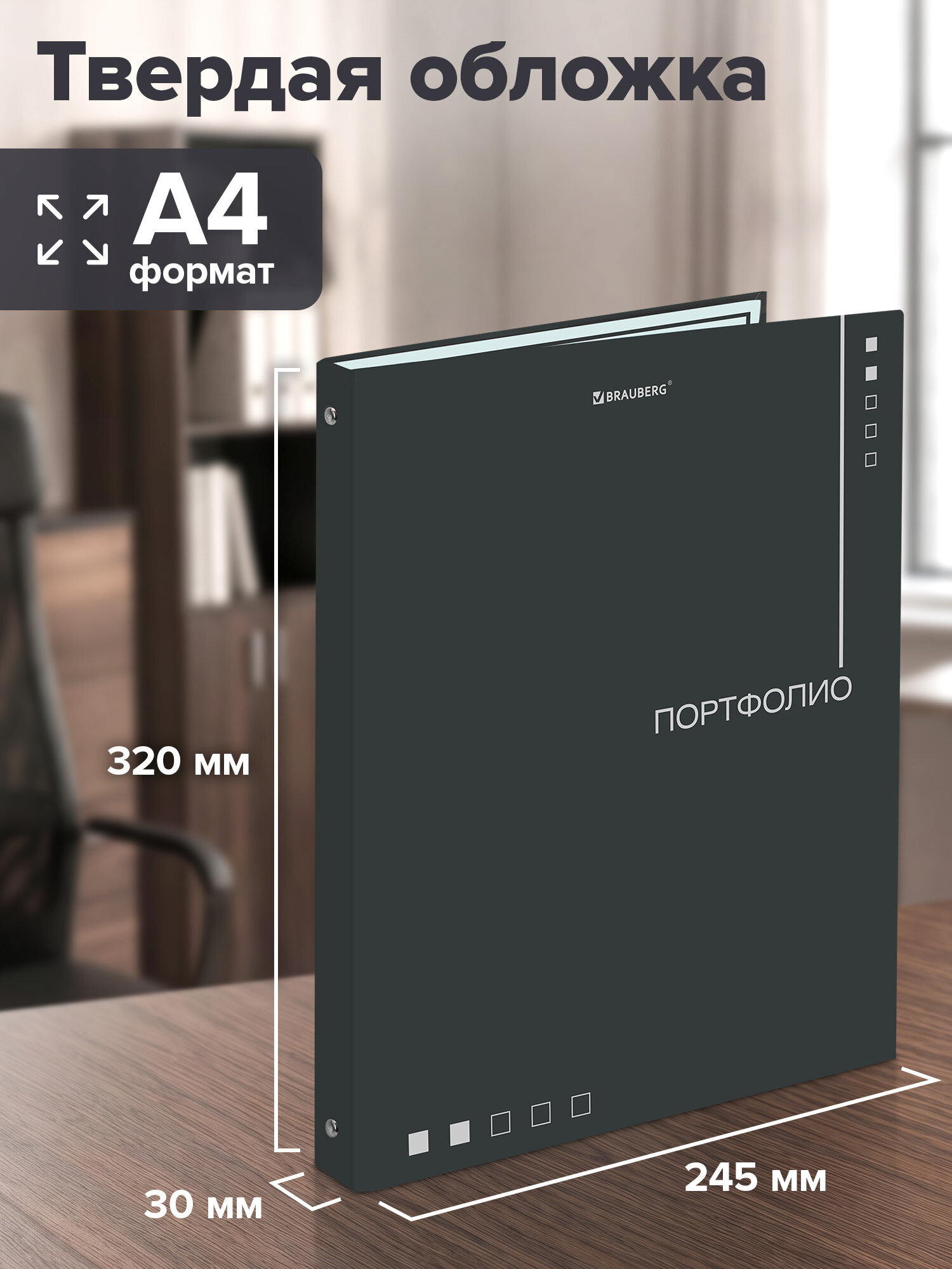 Портфолио школьника Brauberg папка А4 на кольцах 20 файлов для девочки и мальчика - фото 3