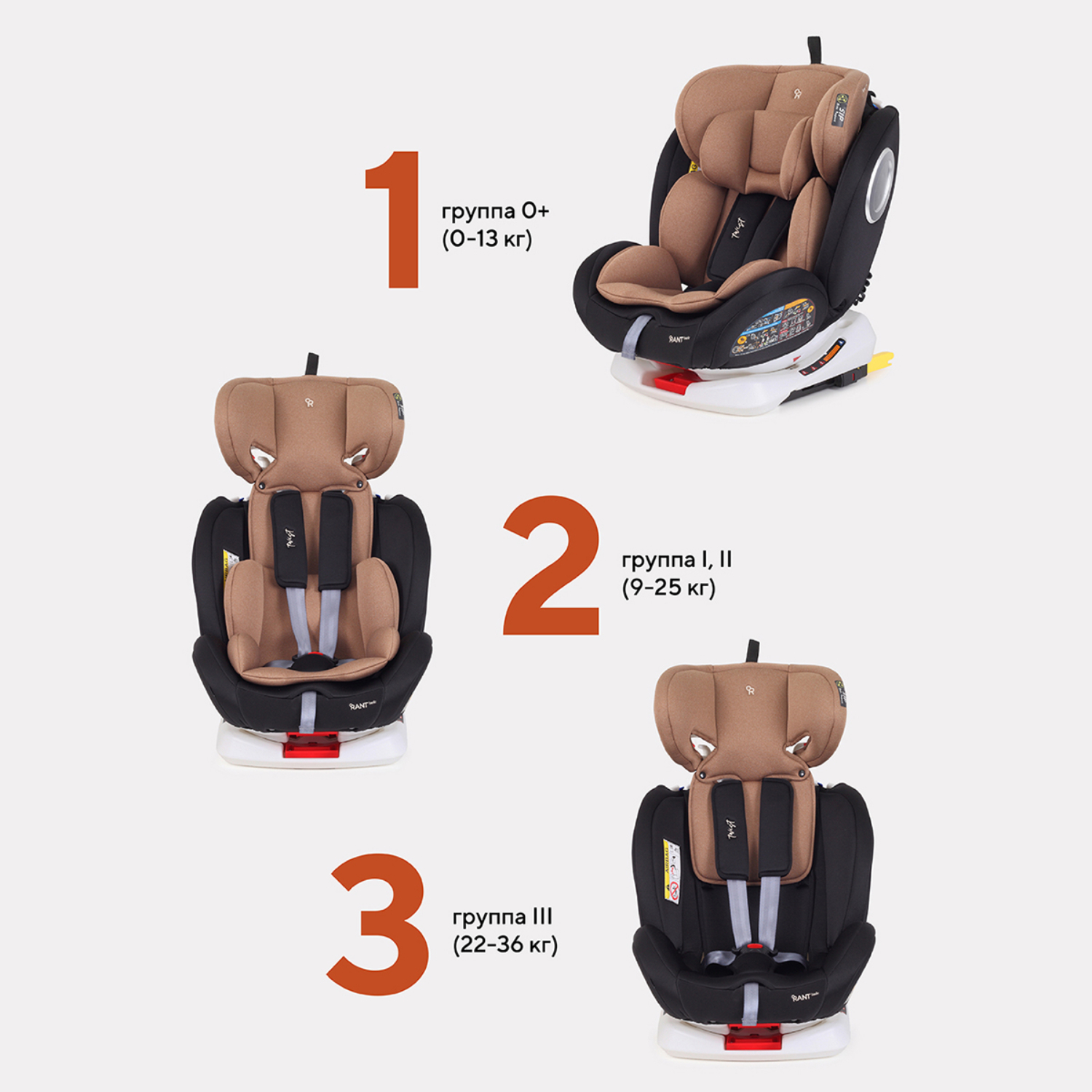 Автокресло Rant Basic Isofix 0+/1/2/3 (0-36 кг) - фото 4