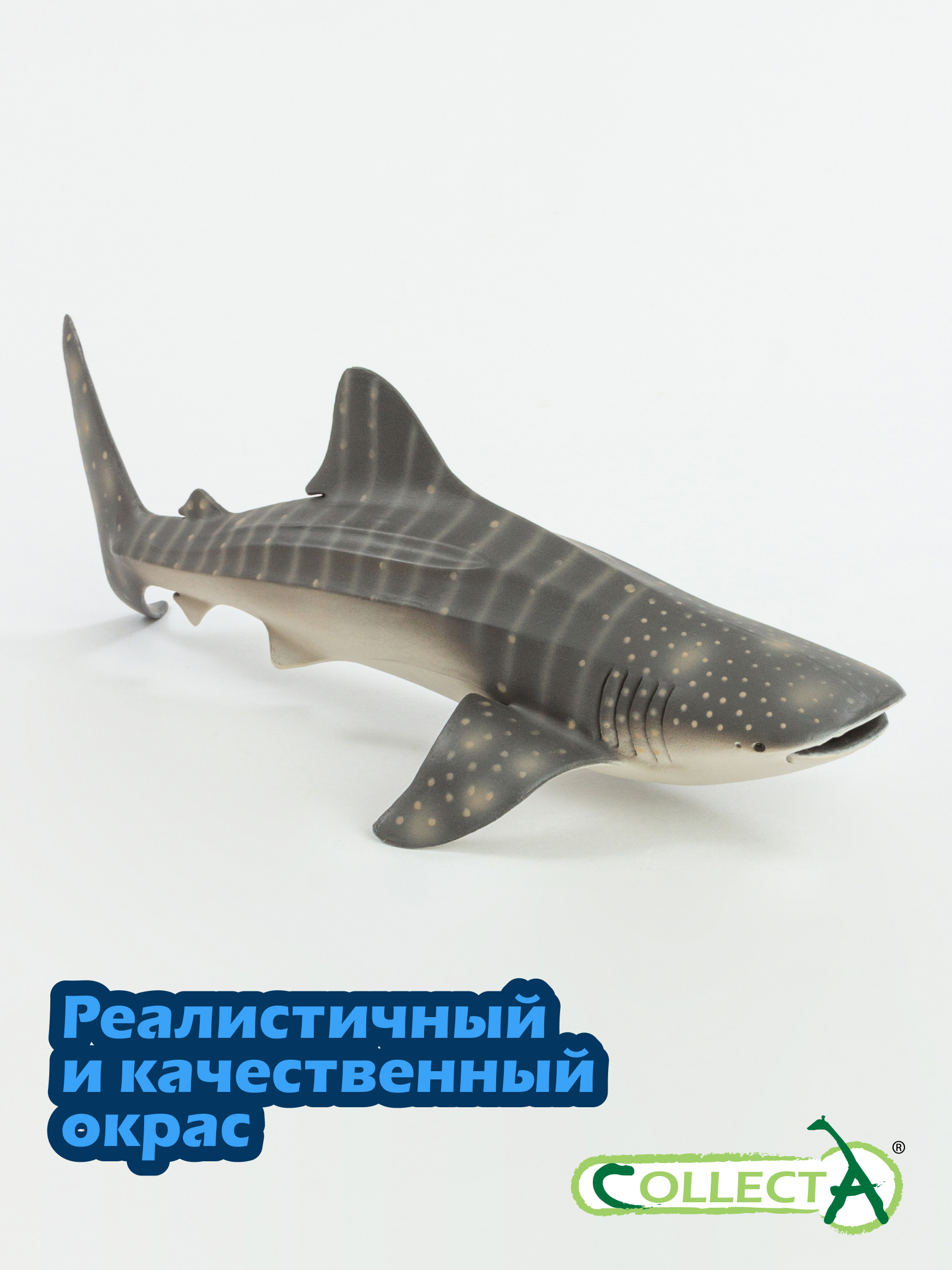 Фигурка Procon (Asia) Ltd Китовая акула, 7 см - фото 4