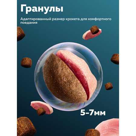 Корм сухой Зоогурман Holistic Утка с яблоком и с рисом, 1.5 кг.
