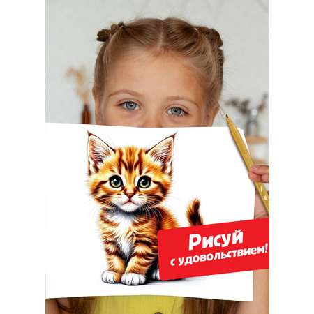 Фломастеры MAPED 12 цв.