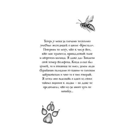 Книга Эксмо Тайна Холли 3