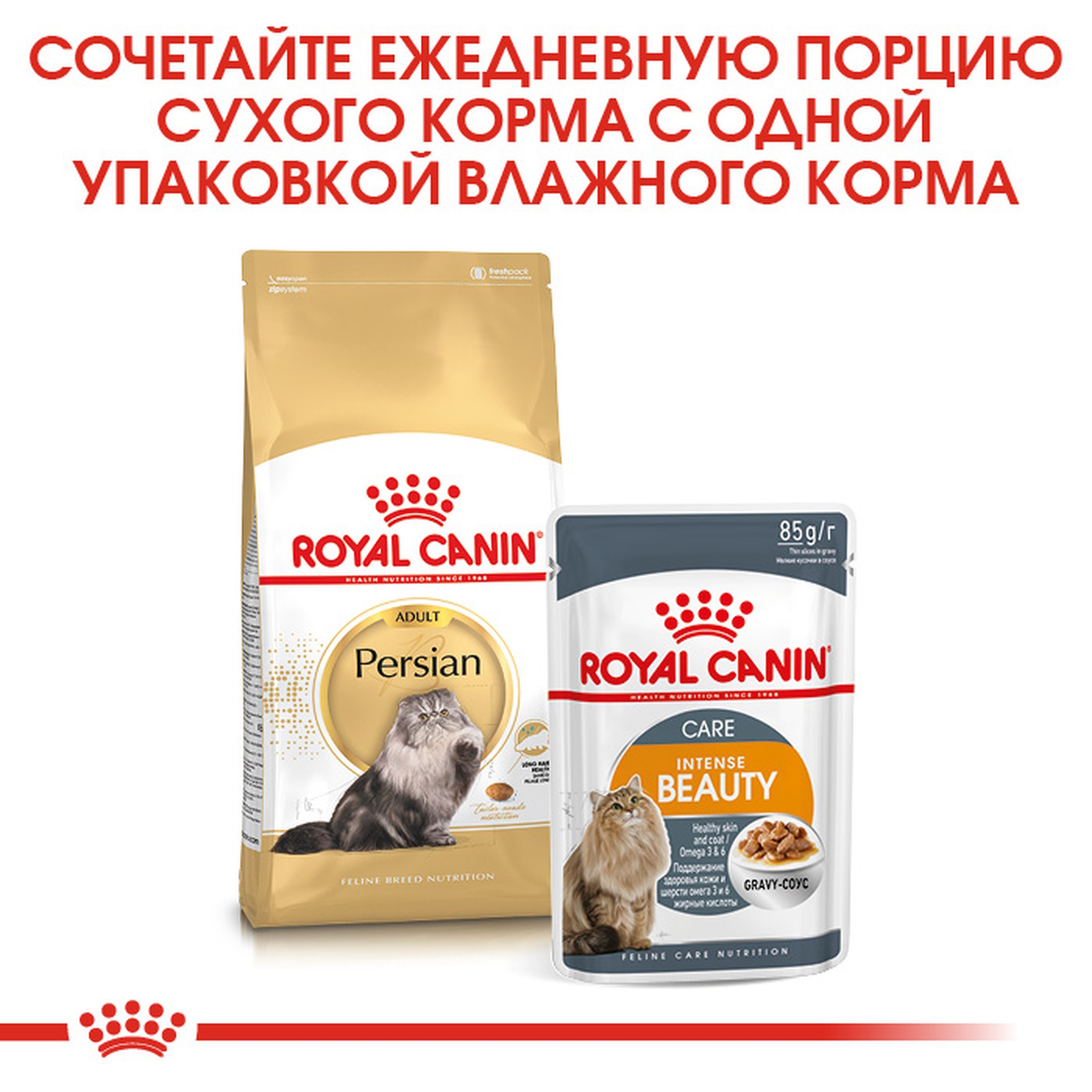 Корм сухой для кошек ROYAL CANIN Persian 2кг персидских - фото 8