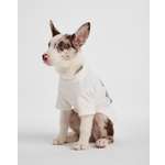 Изображение товара Свитшот для собак и кошек Зоозавр: 2XL