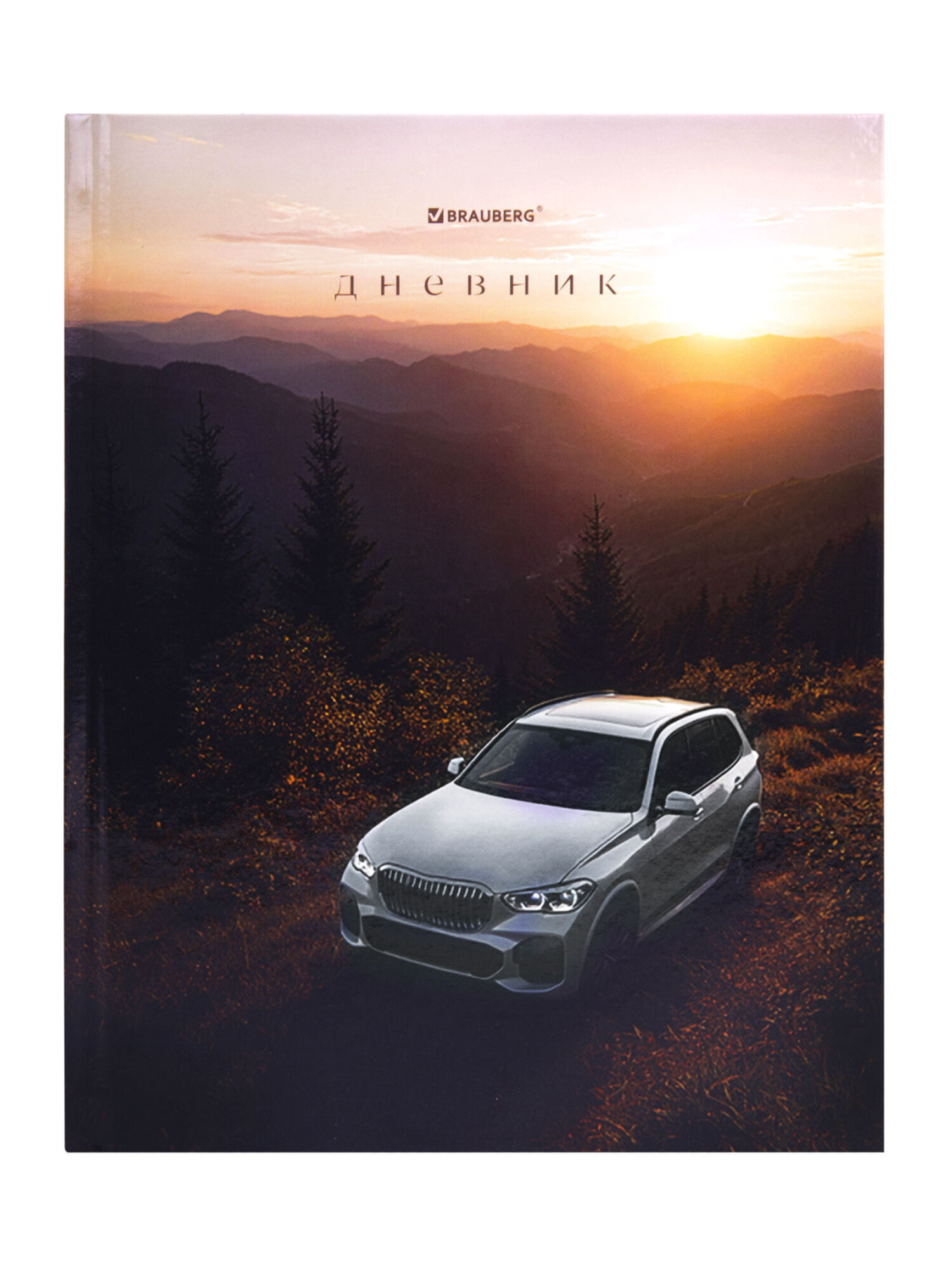 Дневник школьный Brauberg для мальчика 1-11 класс твердая обложка 40 листов - фото 2