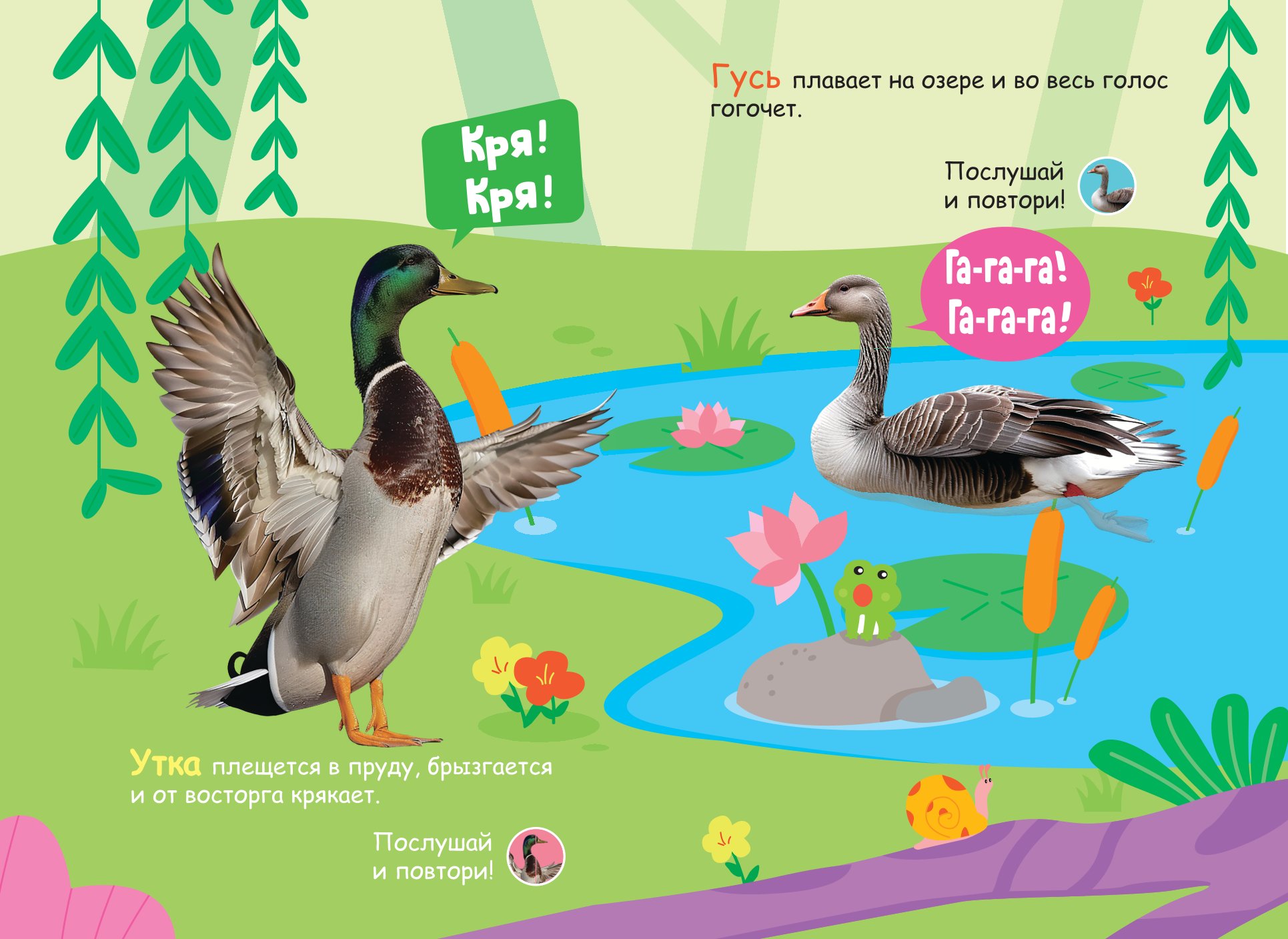 Книга АСТ Моя первая книга со звуками На ферме - фото 4