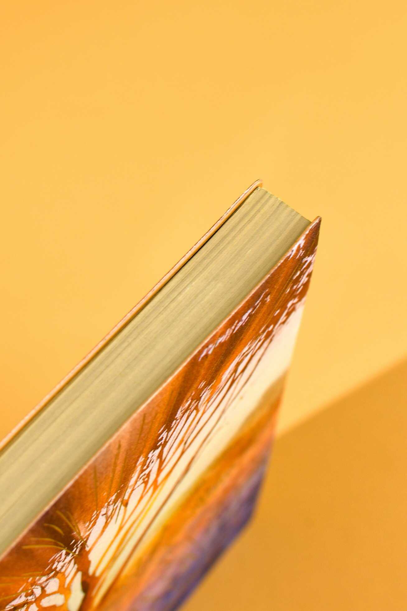 Ежедневник Феникс + ESCALADA 160 лист. - фото 8