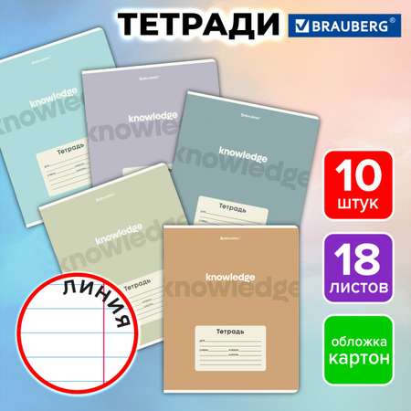 Общая тетрадь Brauberg линейка 18 лист. 10 шт.