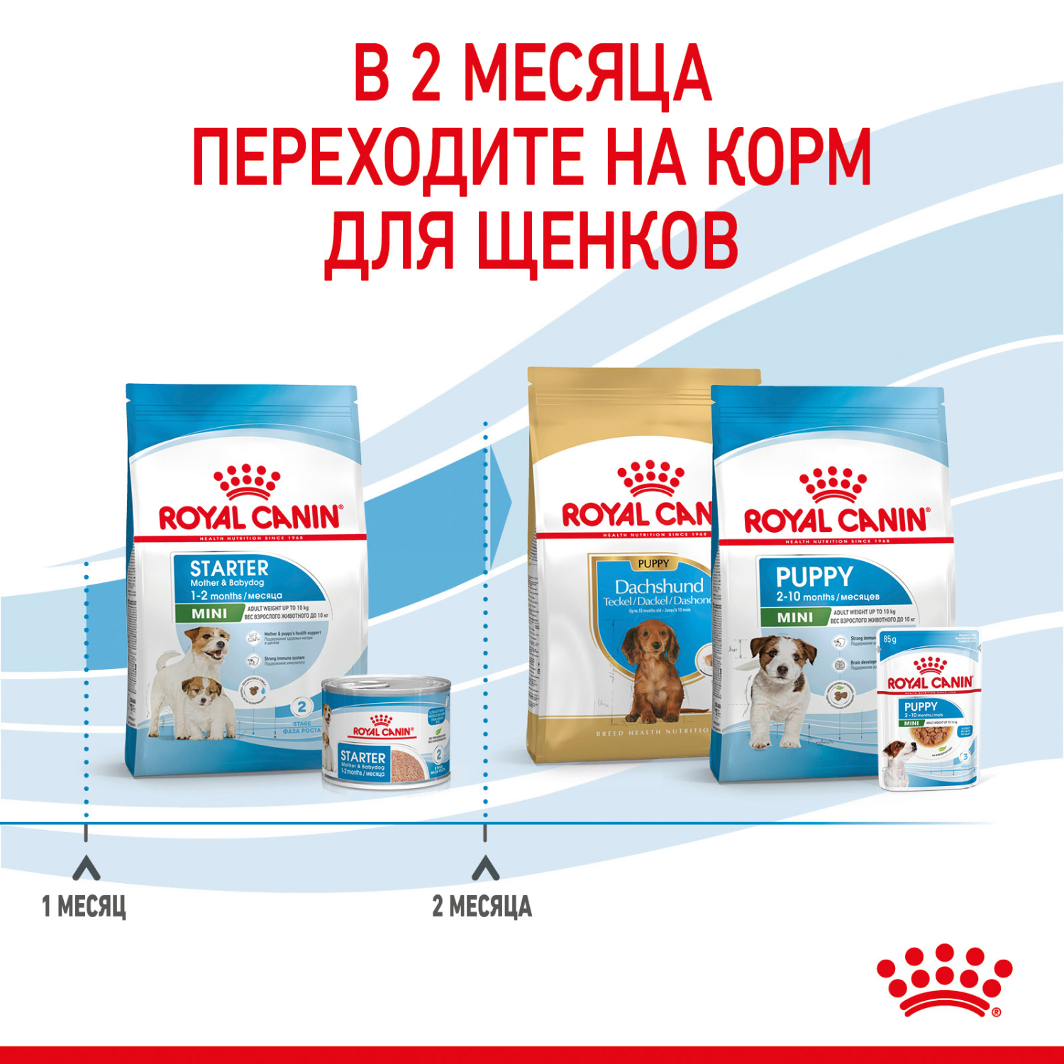 Корм для щенков ROYAL CANIN Starter мелких пород 3кг - фото 10