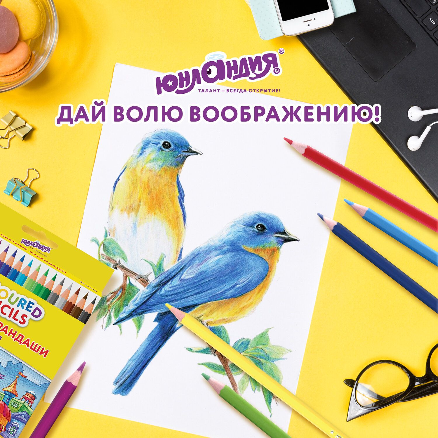Карандаши цветные Юнландия 36 шт. - фото 6