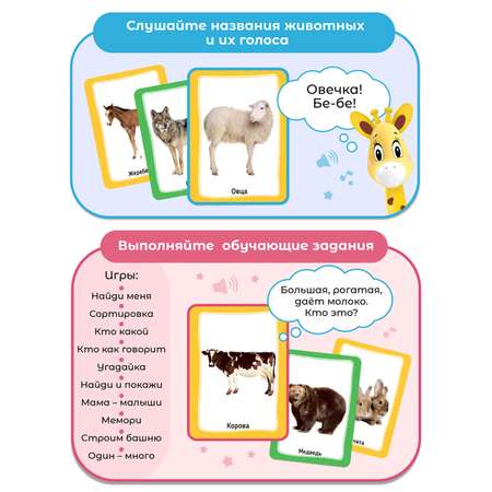 Настольная игра BertToys Первые животные