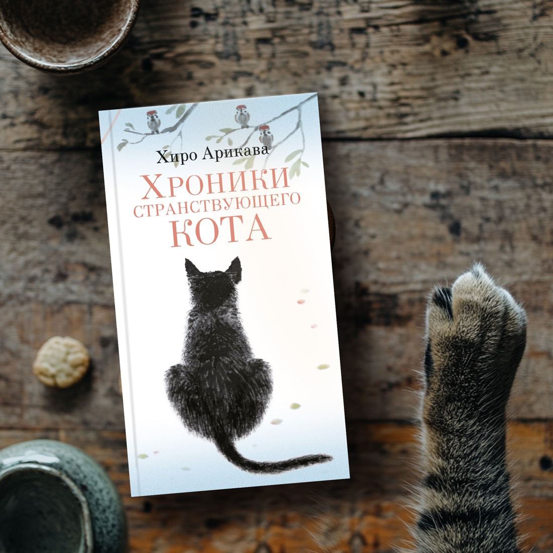 Книга АЗБУКА Хроники странствующего кота. - фото 10