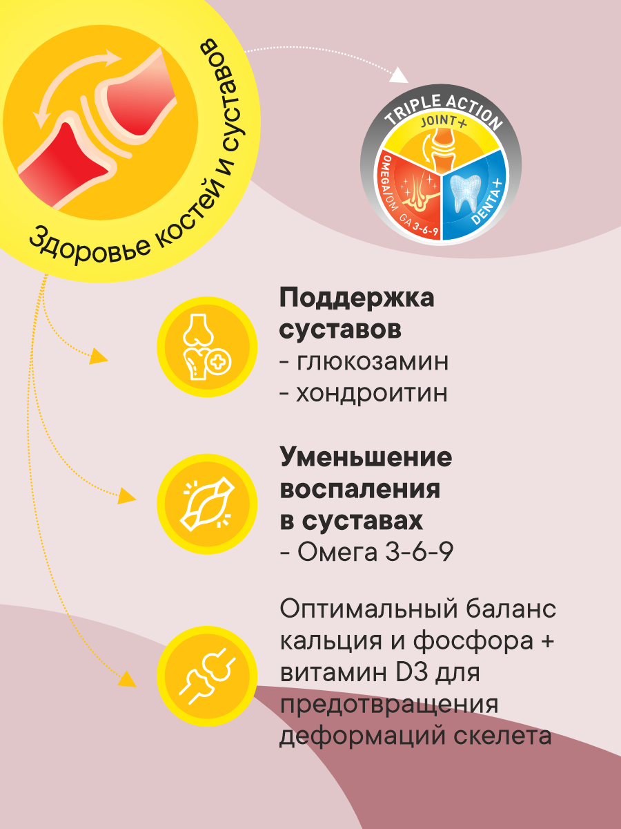 Корм сухой 1st Choice Здоровая кожа и шерсть для пожилых собак средних и крупных на ягненке 2.72кг - фото 3
