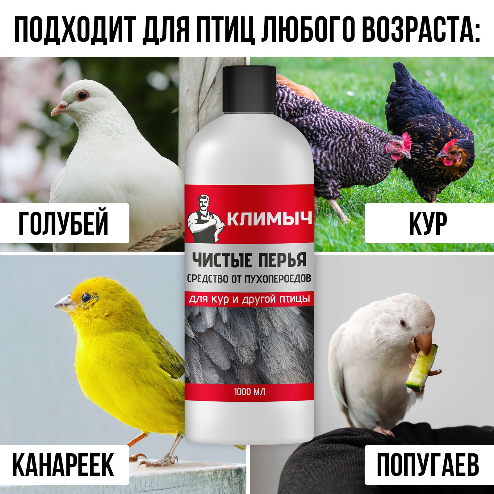 Средство КЛИМЫЧ от пухопероедов - фото 4