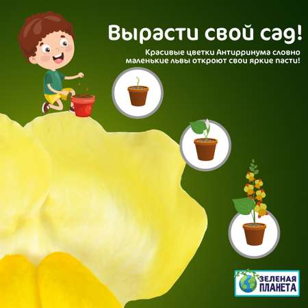 Набор для выращивания ЗЕЛЕНАЯ ПЛАНЕТА