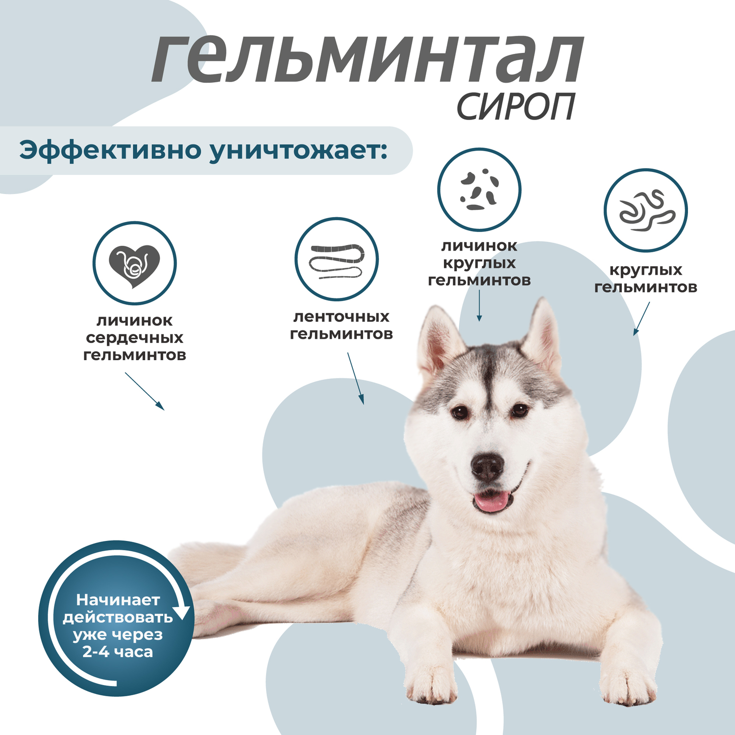 Сироп для собак Гельминтал от 10кг от внутренних паразитов 10мл - фото 3
