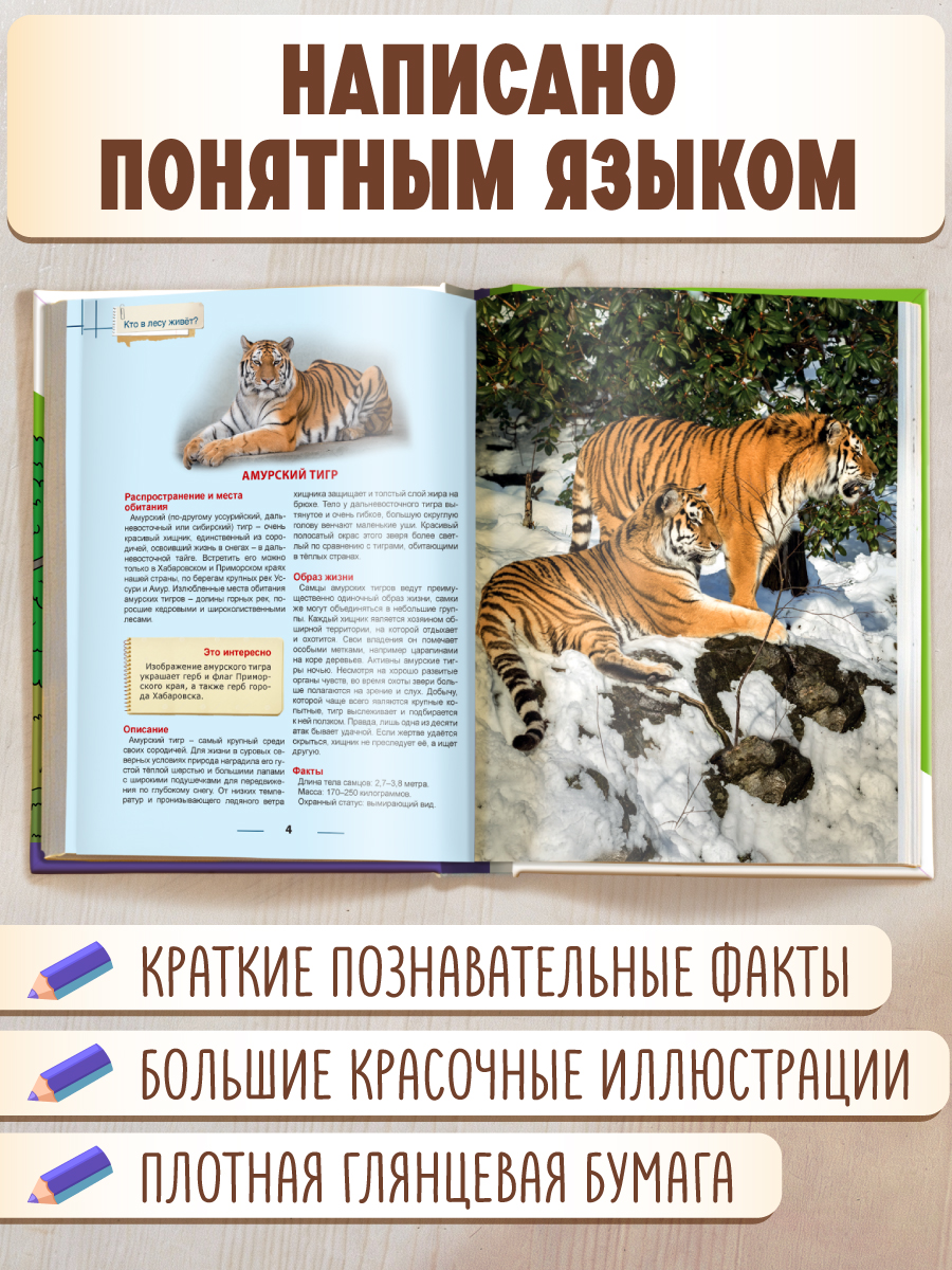 Книга Проф-Пресс Энциклопедия для детей. Кто в лесу живёт? - фото 2