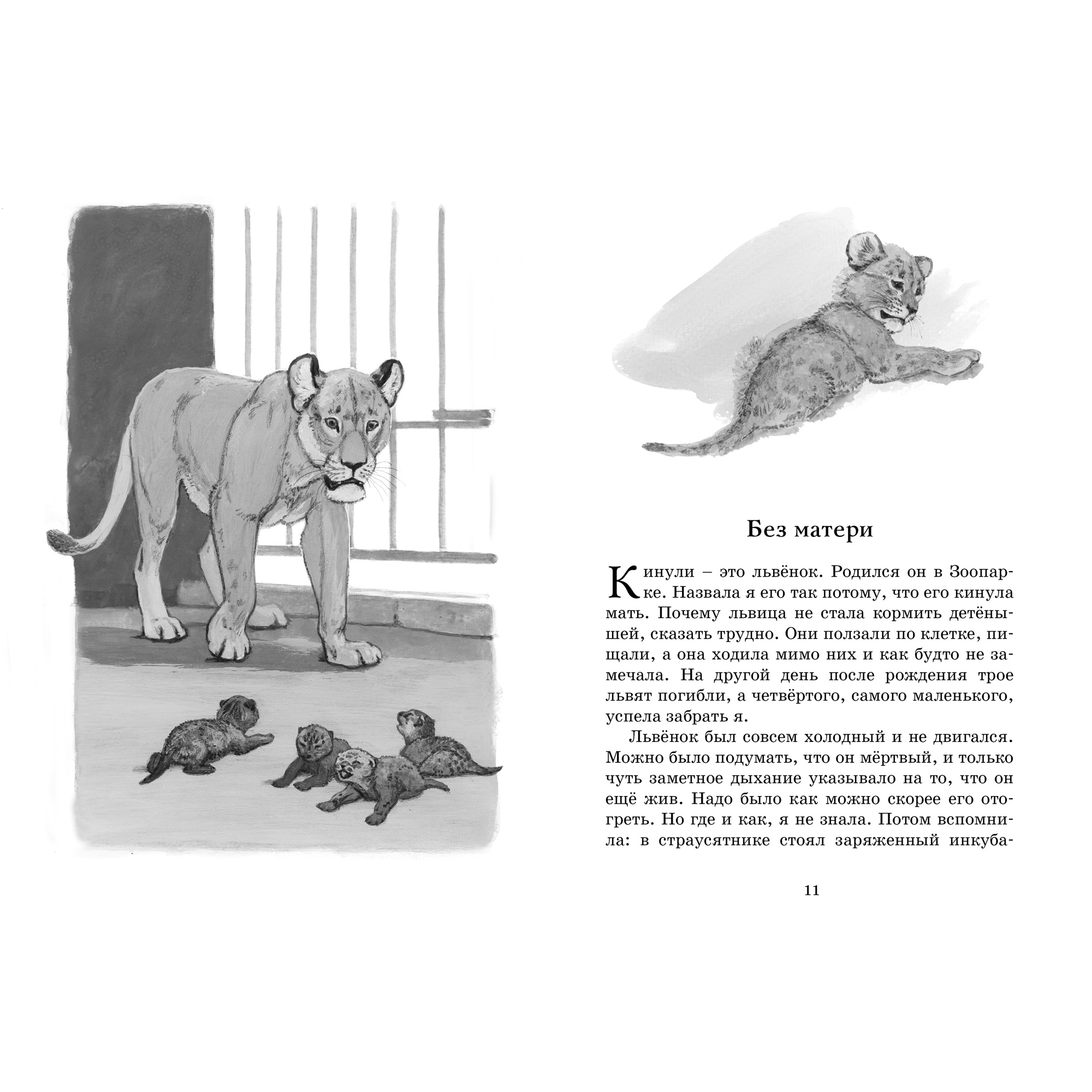 Книга МАХАОН Фомка - белый медвежонок Чаплина В. - фото 3