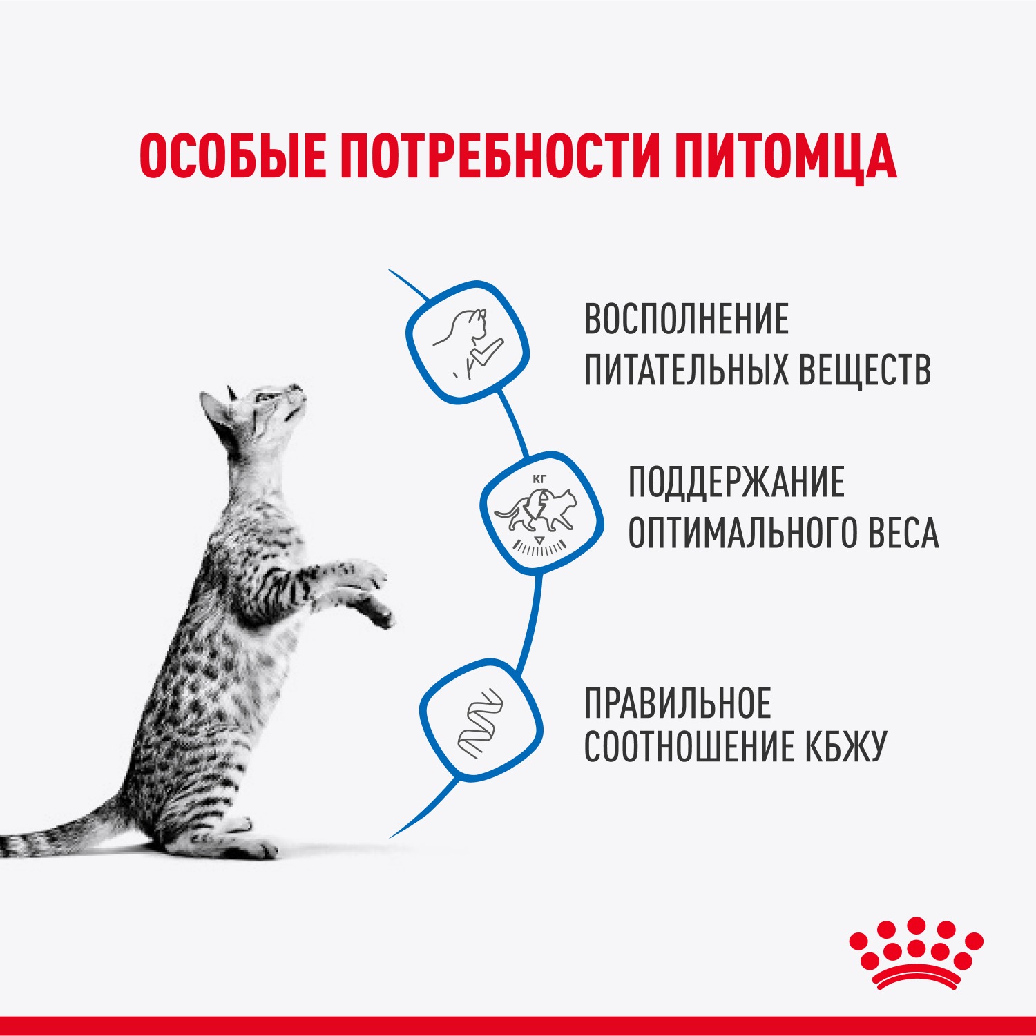 Корм для кошек ROYAL CANIN 85г Indoor Sterilised соус для живущих в помещении - фото 3
