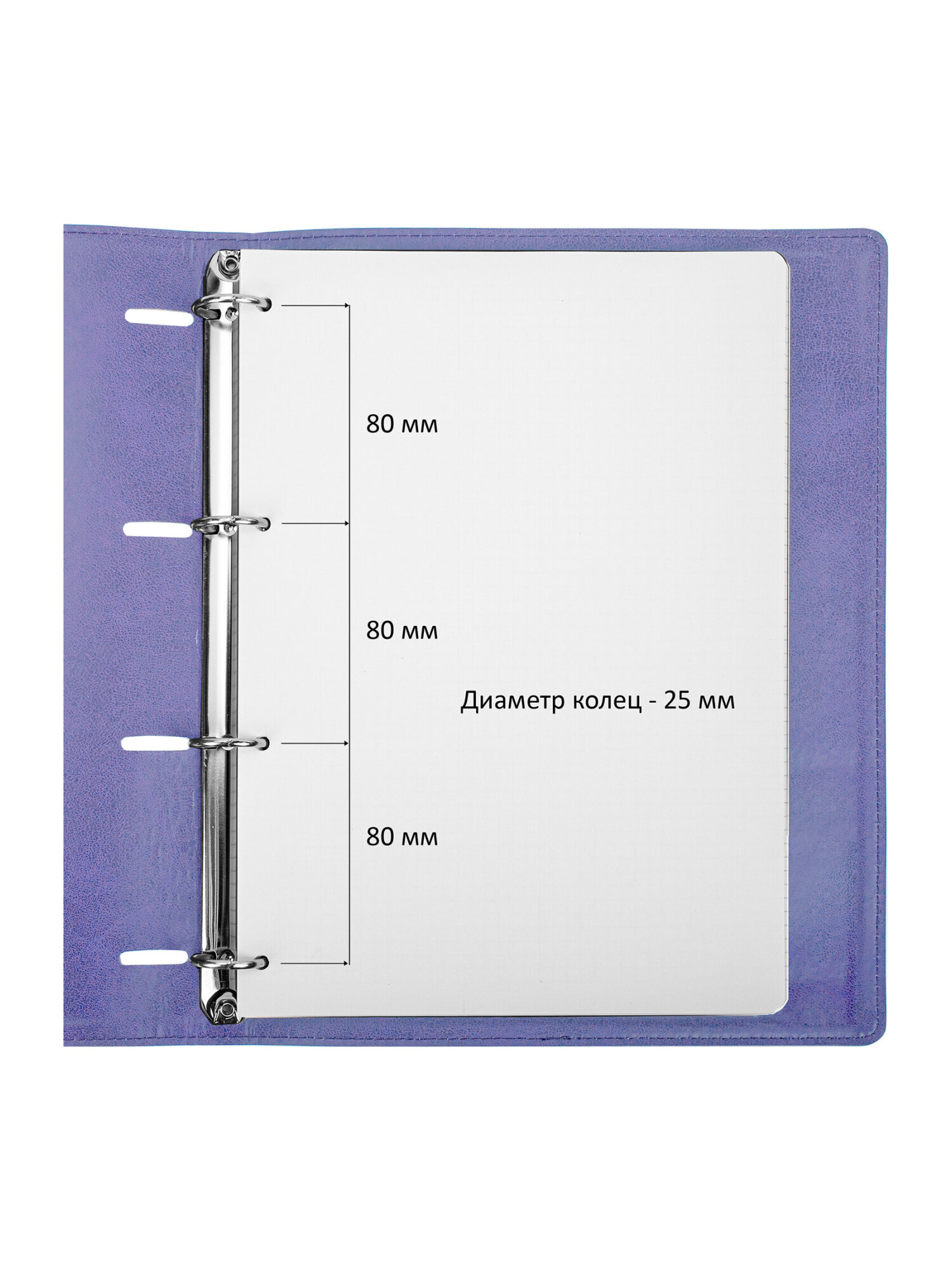 Тетрадь со сменным блоком Brauberg клетка 120 лист. - фото 5