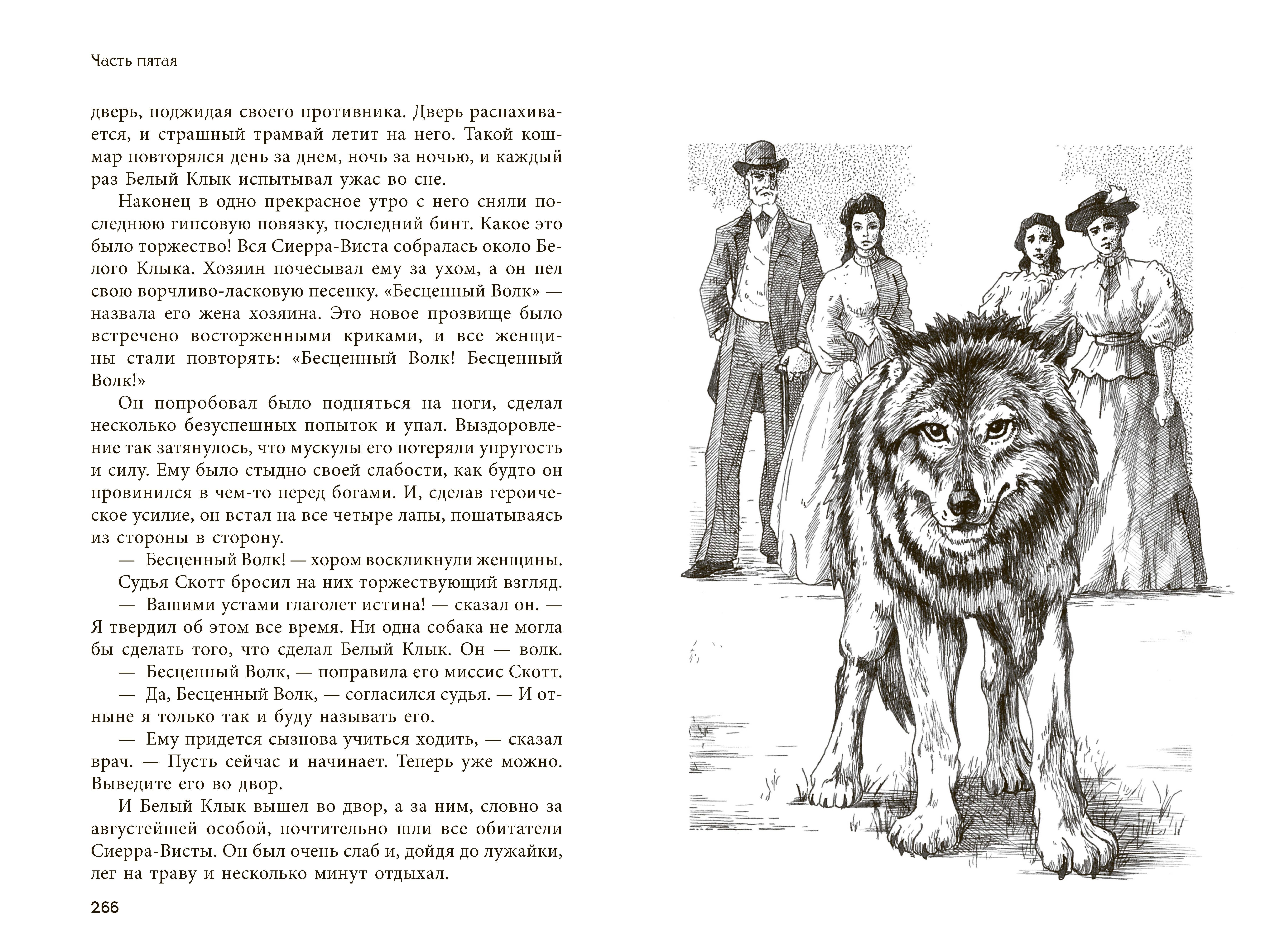 Книга Качели Белый Клык - фото 3