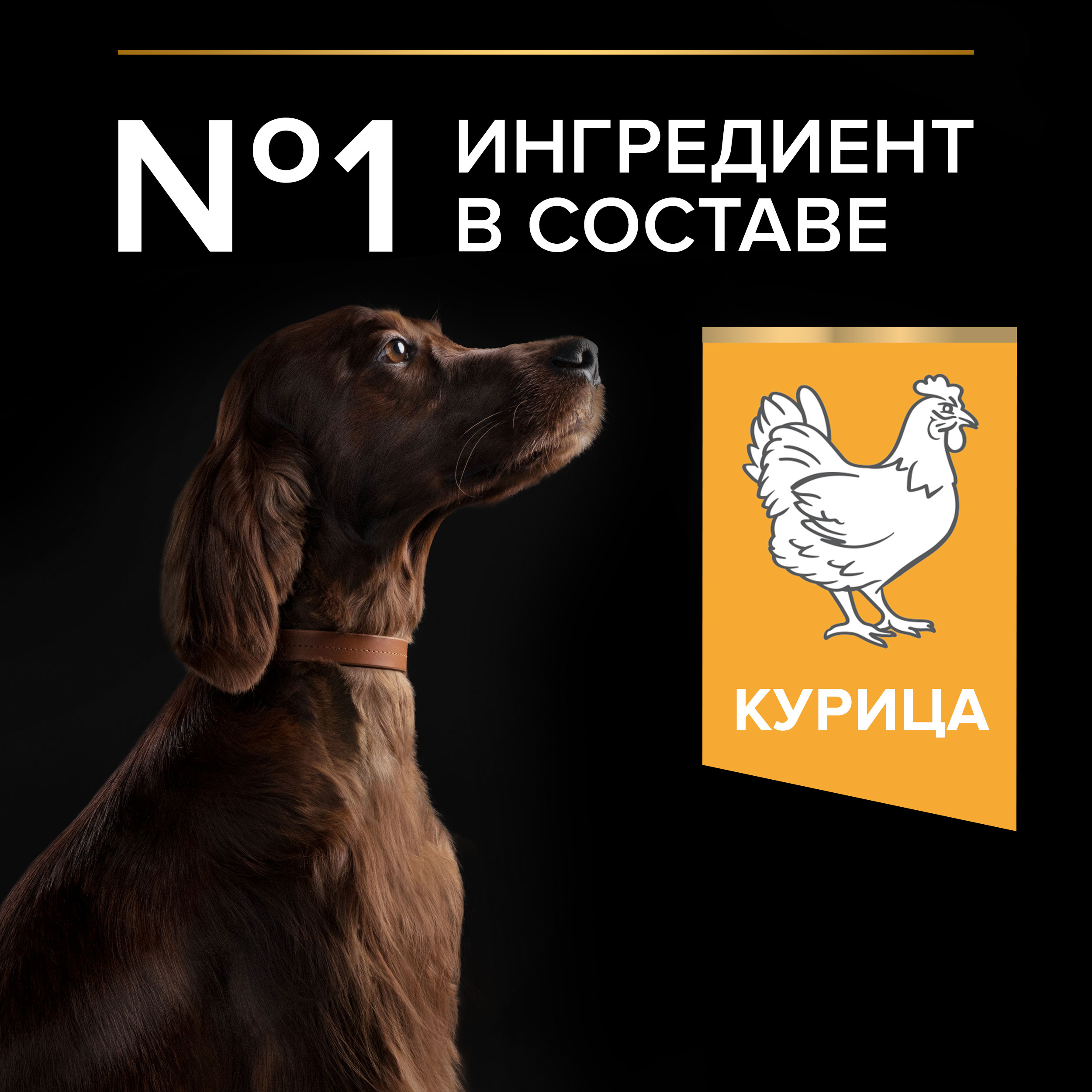 Корм для собак PRO PLAN крупных пород с атлетическим телосложением с комплексом Optibalance с высоким содержанием курицы 14кг - фото 7