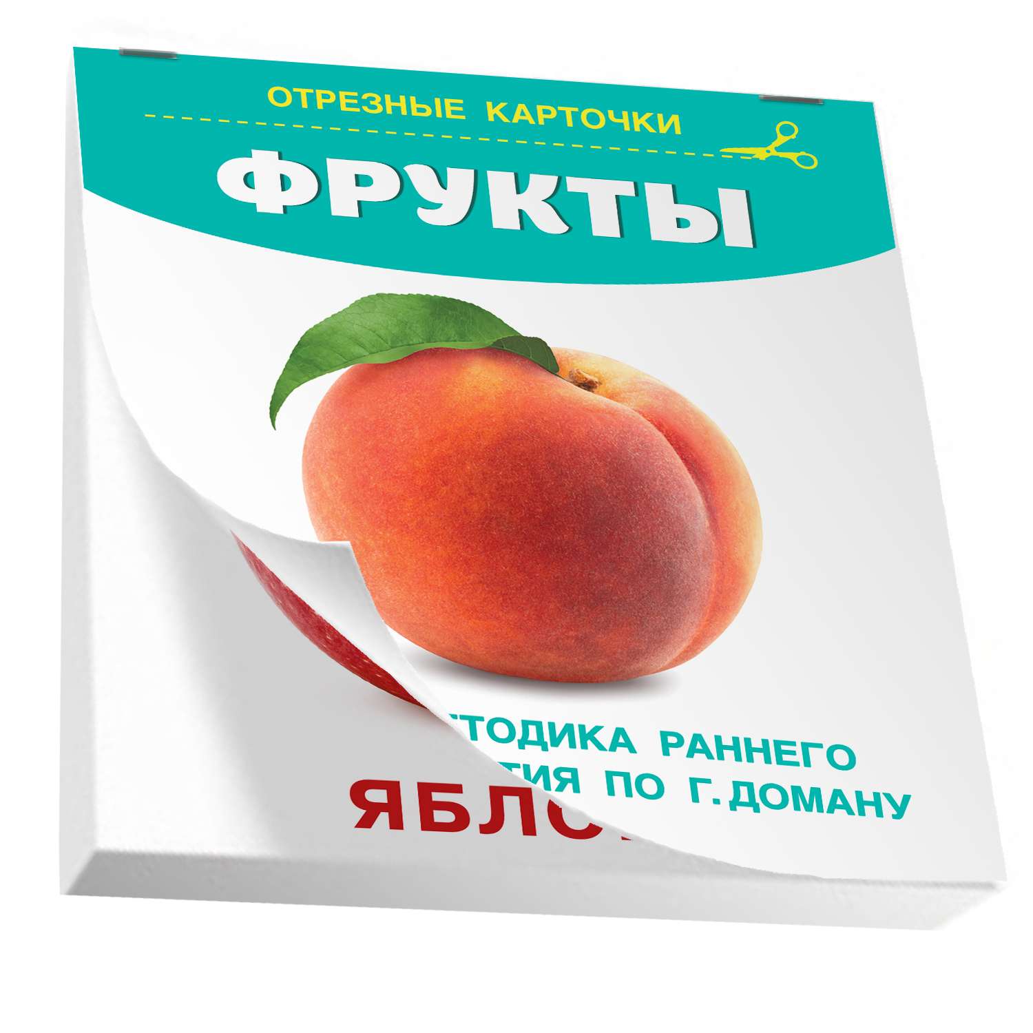 Книга карточки для малышей Фрукты - фото 6