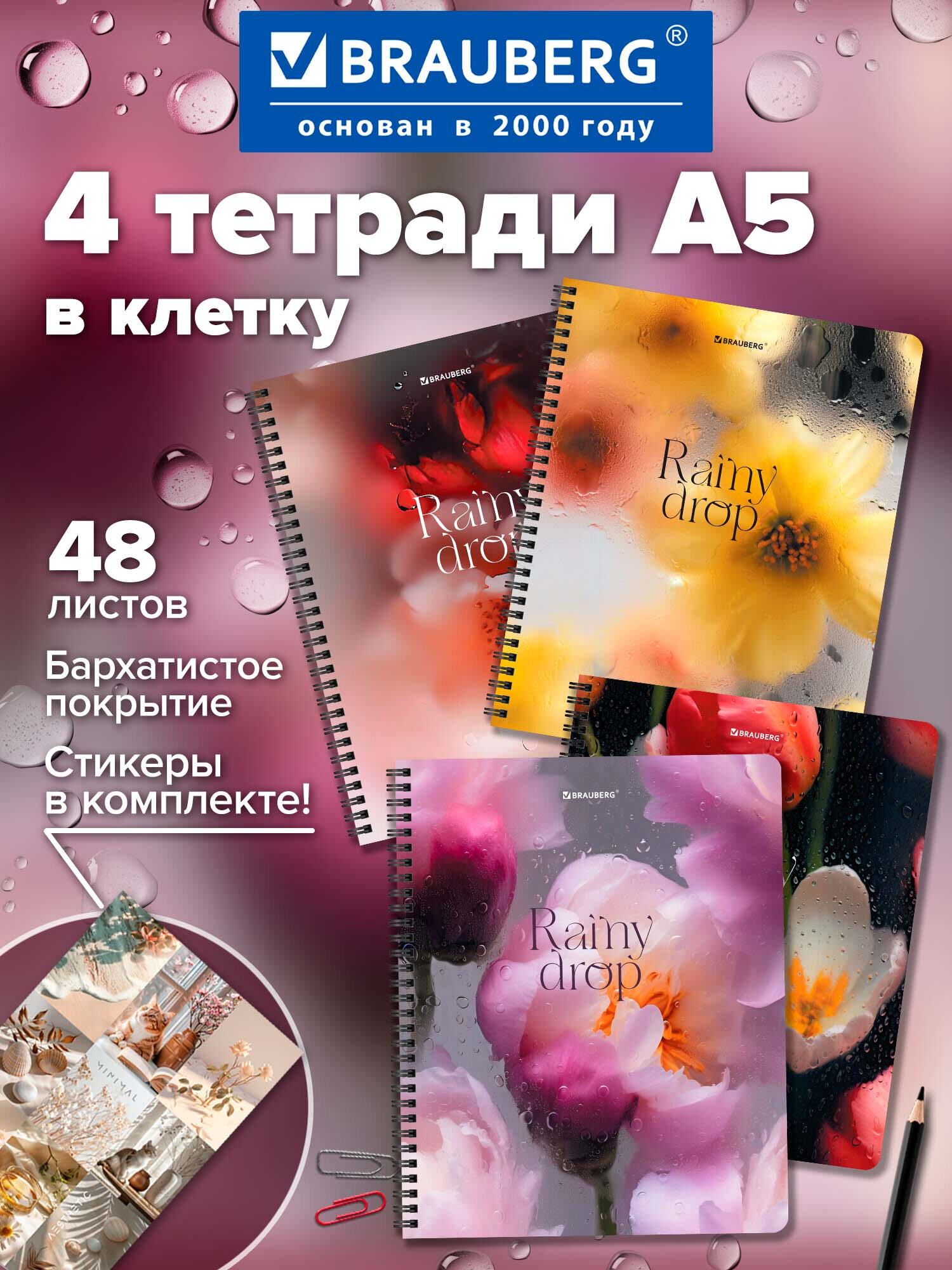 Тетрадь Brauberg клетка 48 лист. 4 шт. - фото 1