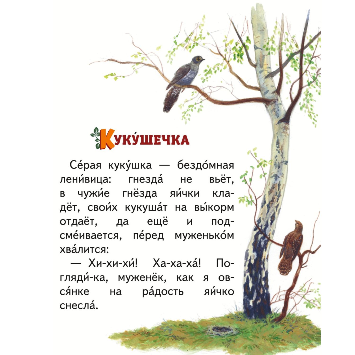 Книга Эксмо Лисичкин хлеб Рассказы о природе ил С Ярового - фото 8