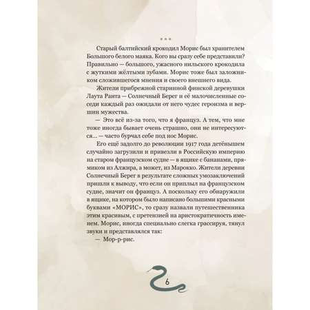 Книга БОМБОРА Гадюка Наташа Удивительная история о вере в себя