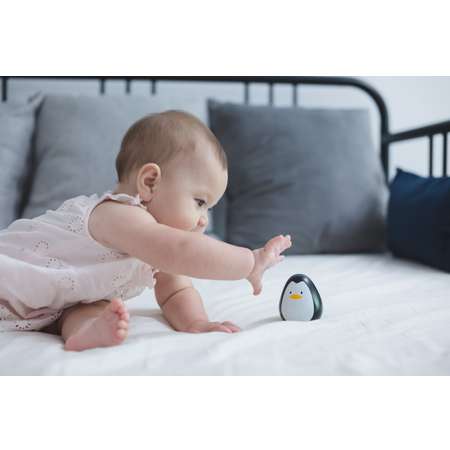 Игрушка Plan Toys неваляшка