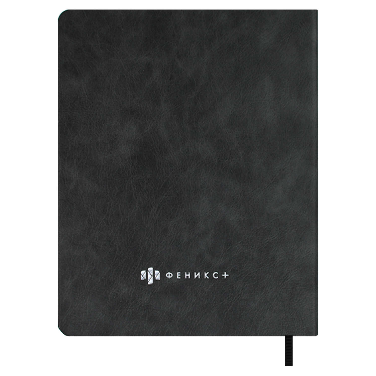Дневник школьный Феникс + Черный - фото 4