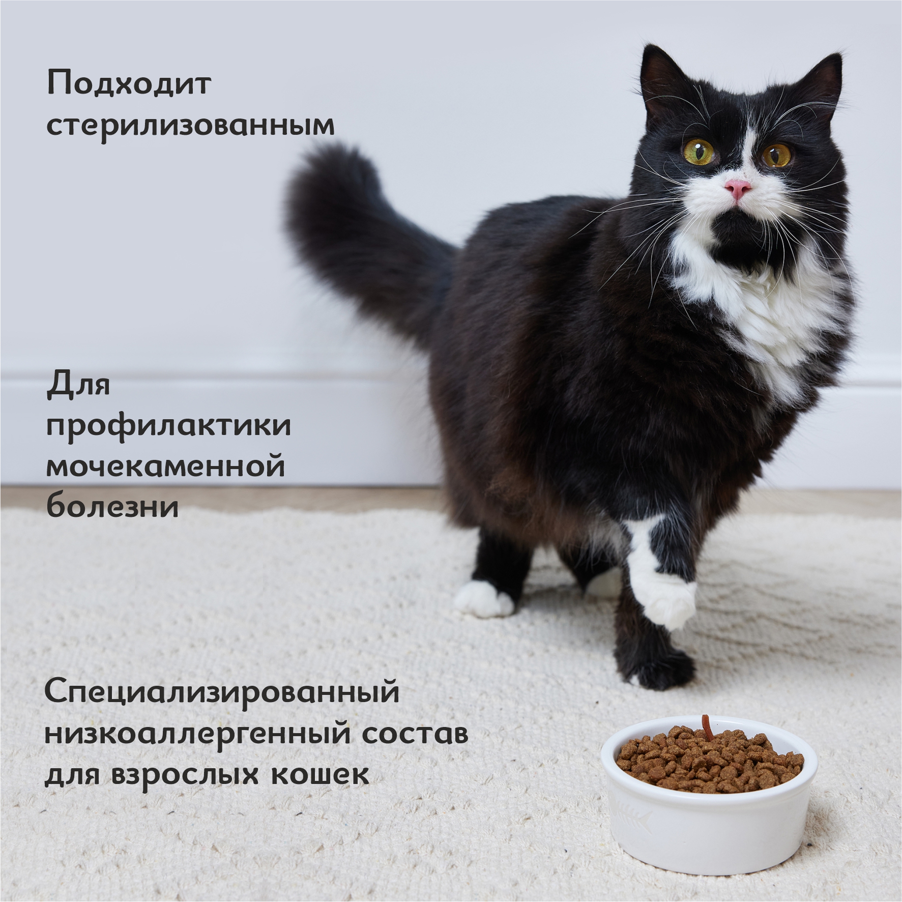 Корм полнорационный для кошек Roybis с лососем и форелью сухой для взрослых и пожилых пород 7+ с защитой почек 1.5кг - фото 5