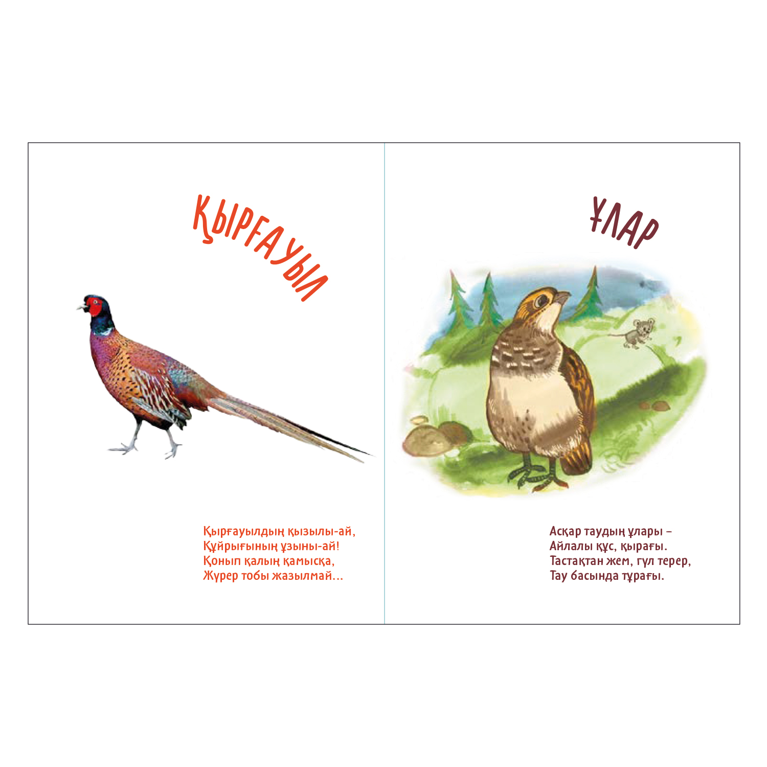 Книга Аруна Птицы Гармошка 350486 - фото 2