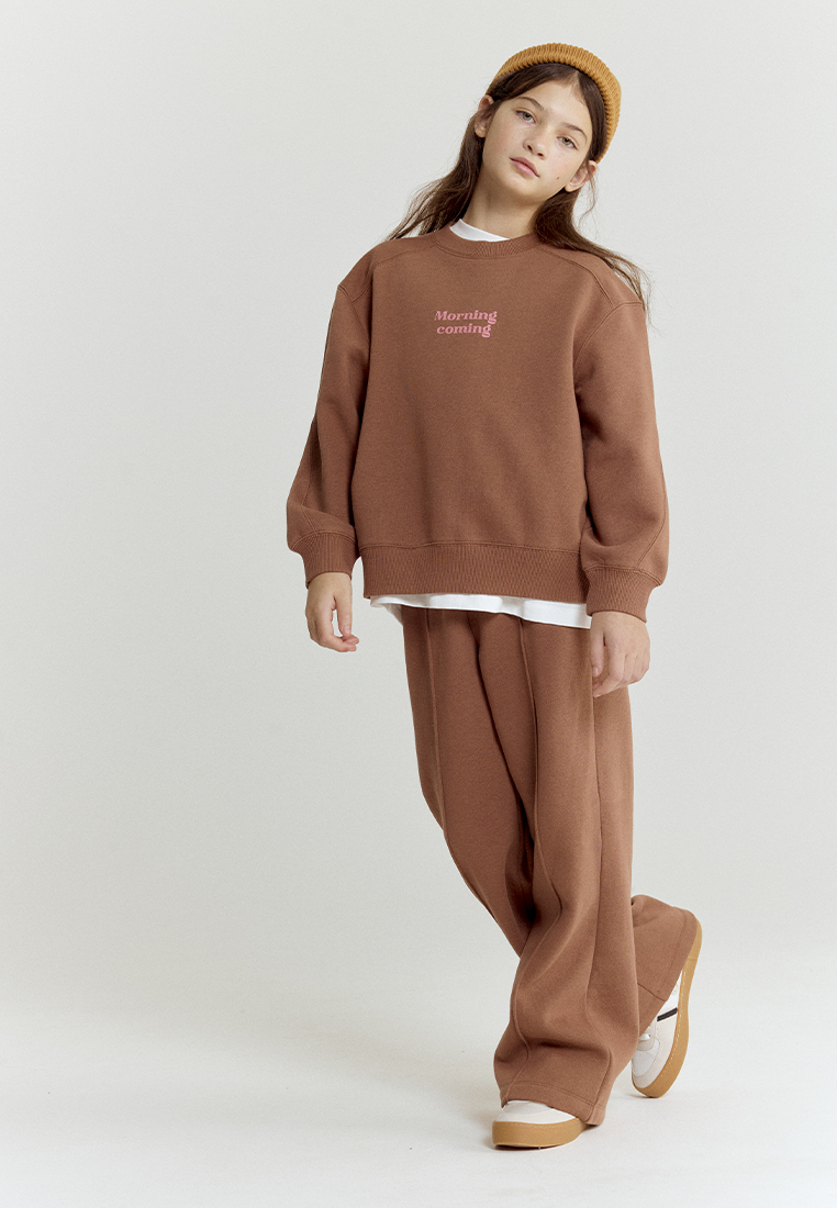 Свитшот artie W25K02T-1333D/Коричневый - фото 7