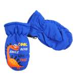 Варежки S.gloves