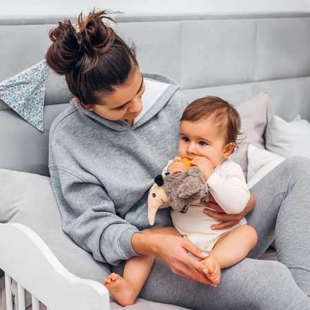 Игрушка Babyono подвеска Муравьед Edgar в ассортименте