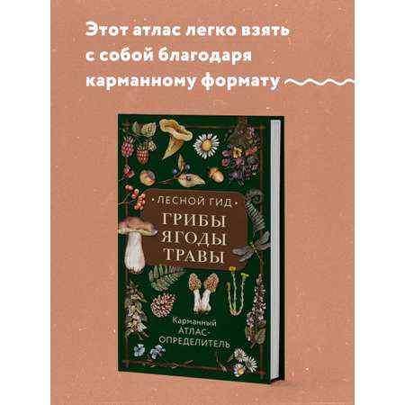 Книга Эксмо Лесной гид: грибы, ягоды, травы. Карманный атлас-определитель