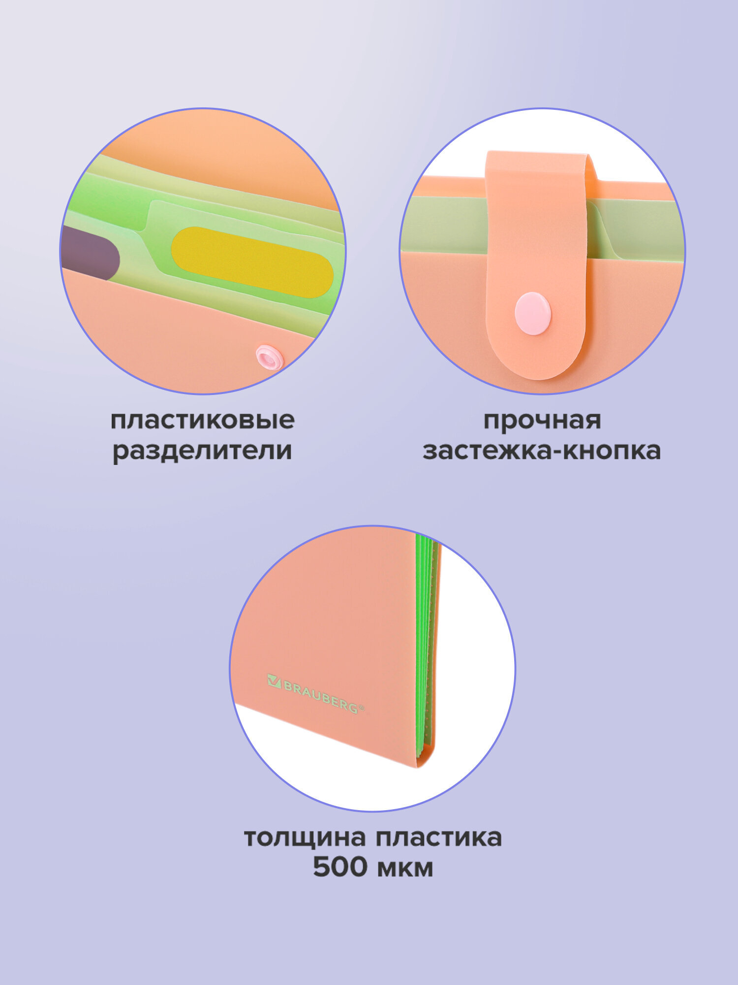 Папка-органайзер Brauberg А4 - фото 4