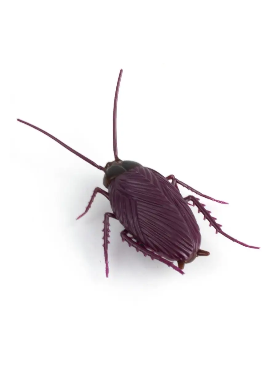 Робот РУ Create Toys - фото 2