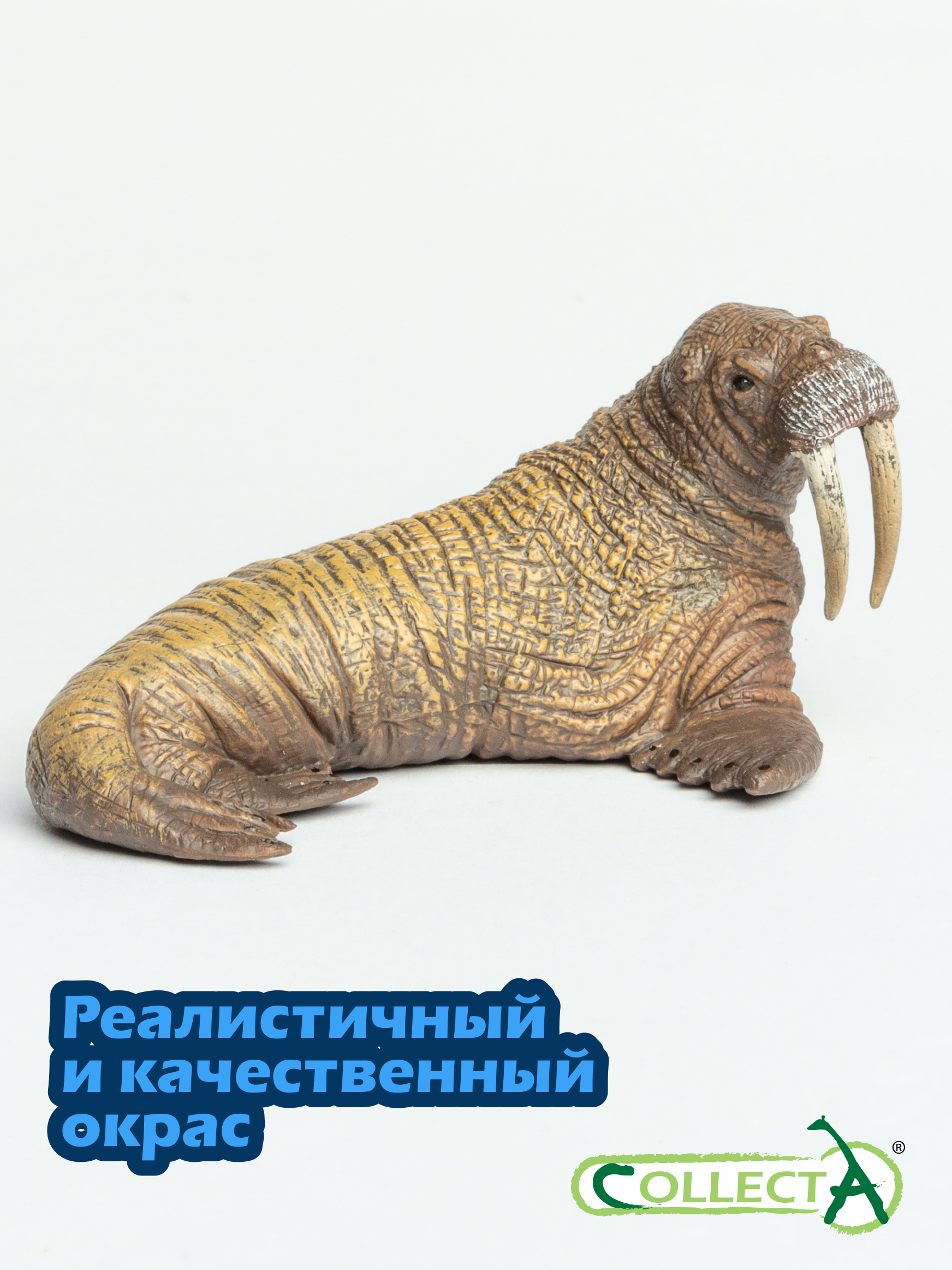 Фигурка Collecta Морж - фото 4